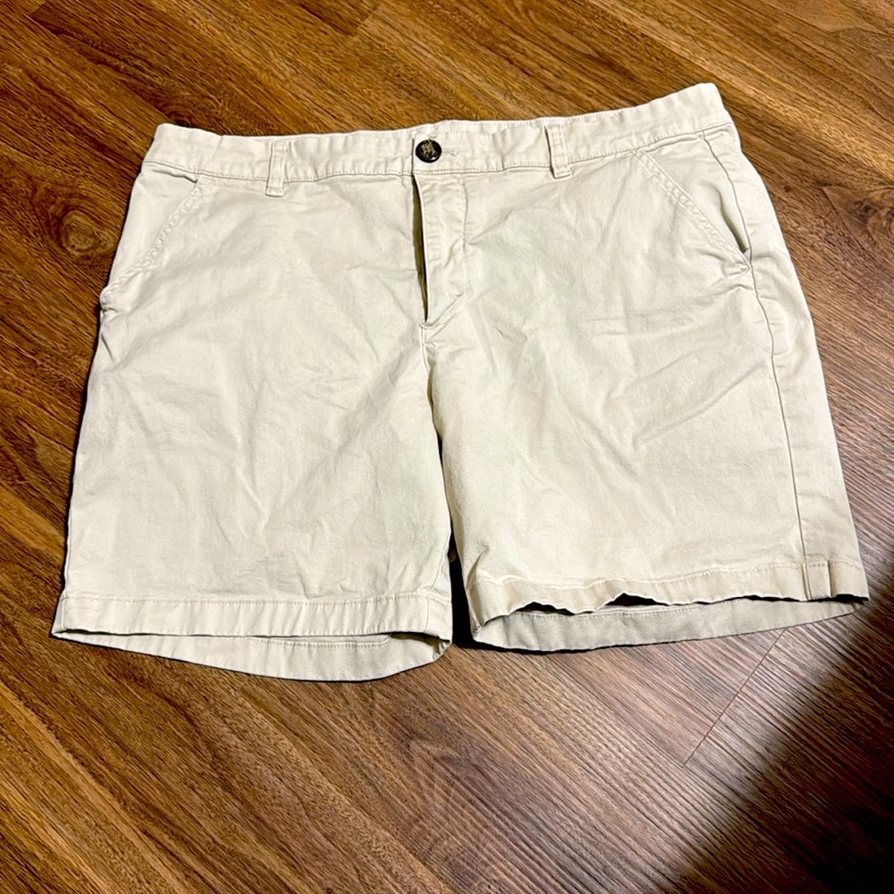 Chubbies men’s khaki shorts